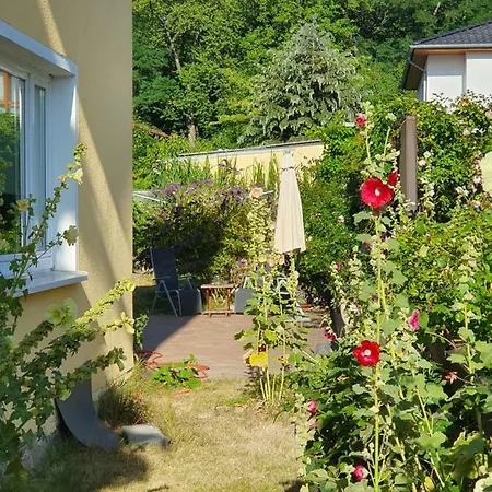 Ferienwohnung Paul Zinnowitz Exterior photo